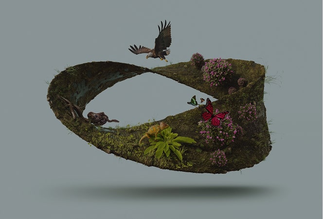 Abstract figure with nature landscape, birds, animals and butterflies